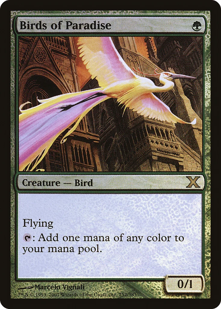 Birds of Paradise · Tenth Edition