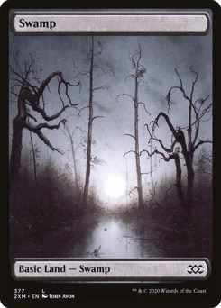 Swamp
