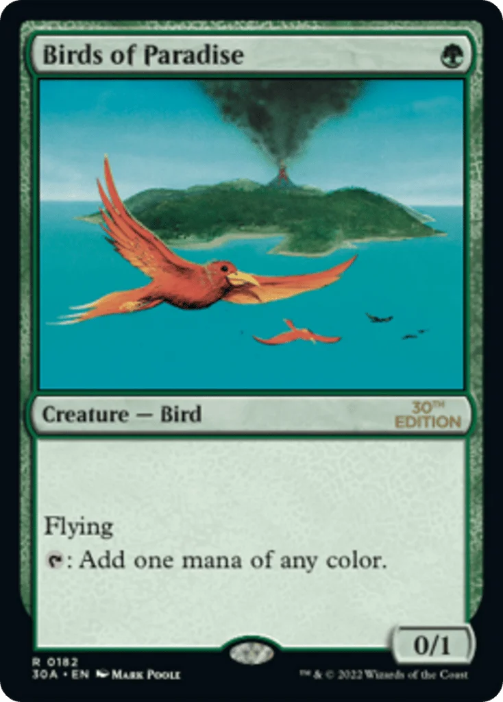 Birds of Paradise · 30th Anniversary Edition