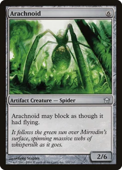 Arachnoid
