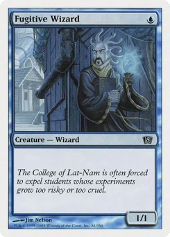 Fugitive Wizard