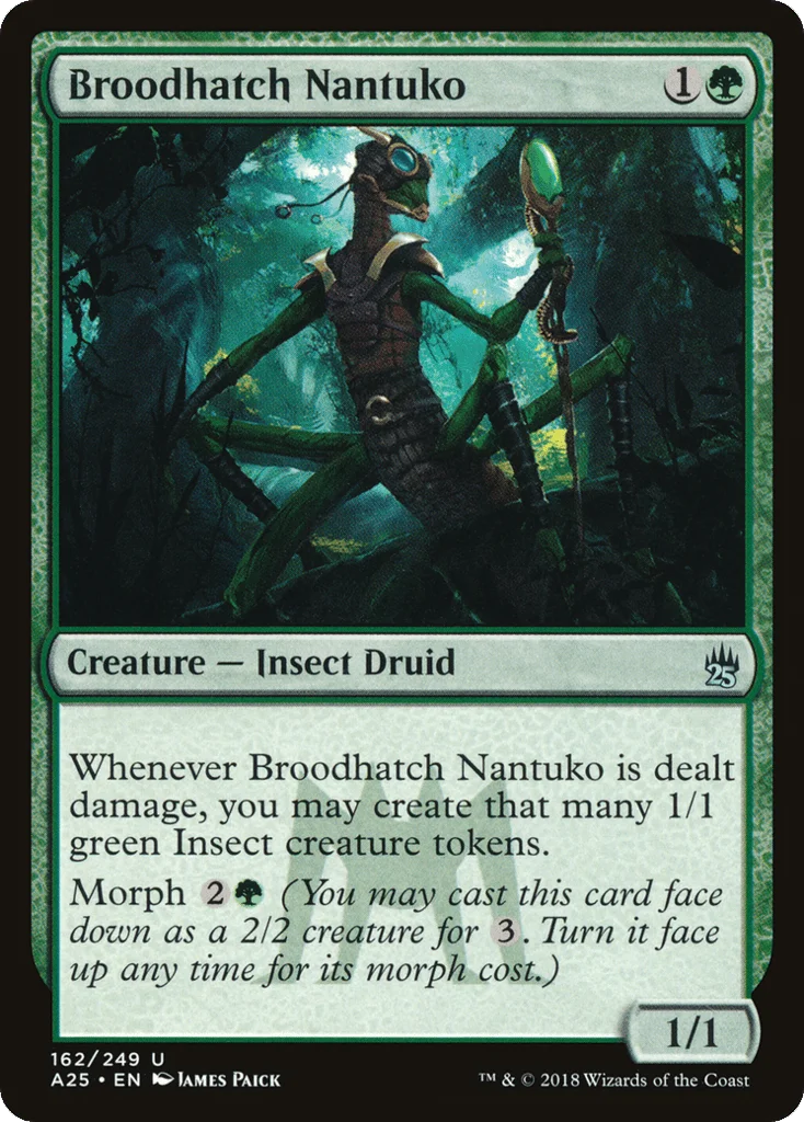 Broodhatch Nantuko · Masters 25