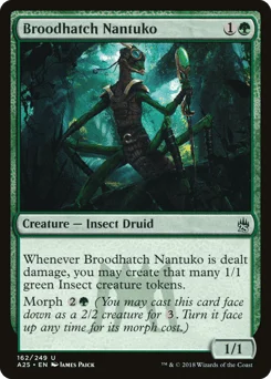 Broodhatch Nantuko