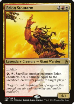 Brion Stoutarm