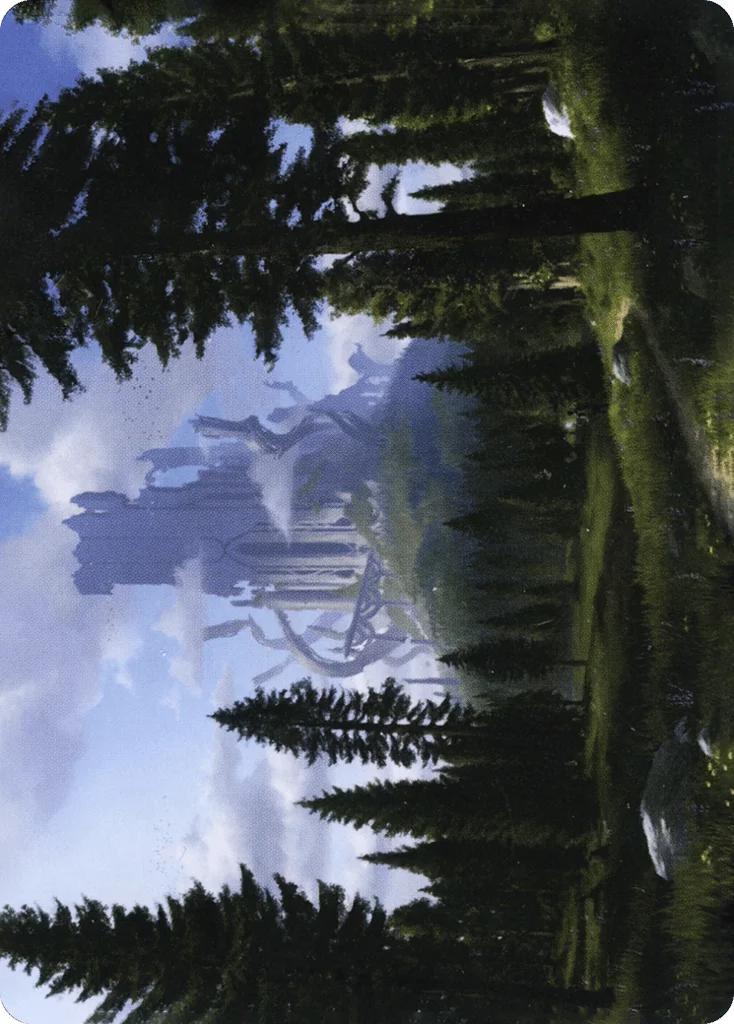 Forest · Adventures in the Forgotten Realms Art Series