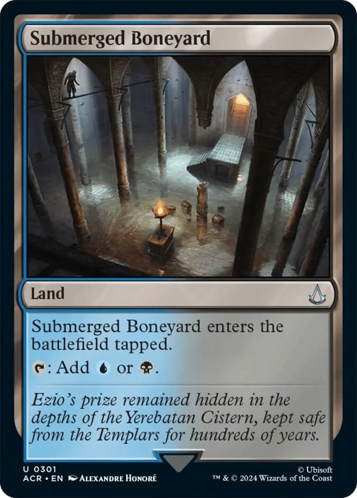 Submerged Boneyard · Assassin's Creed