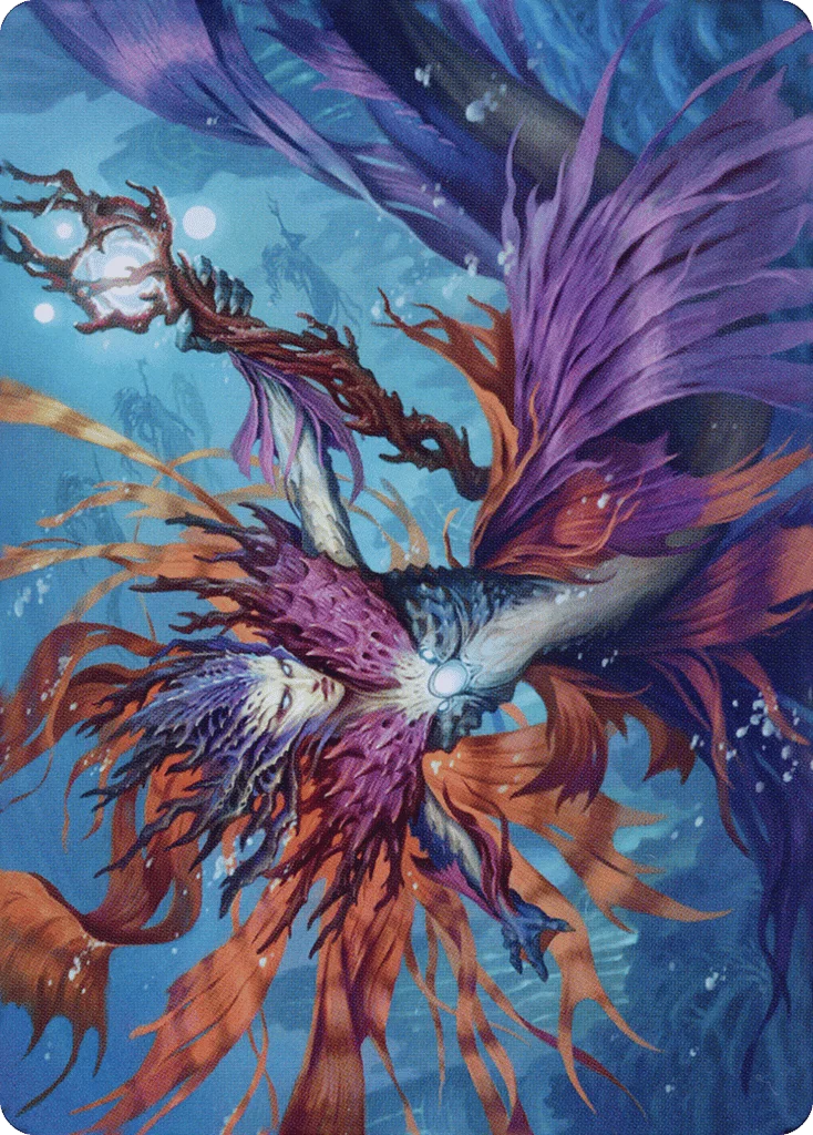 Vodalian Hexcatcher · Dominaria United Art Series