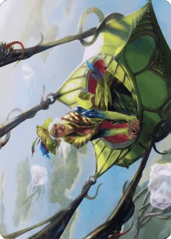 Nael, Avizoa Aeronaut