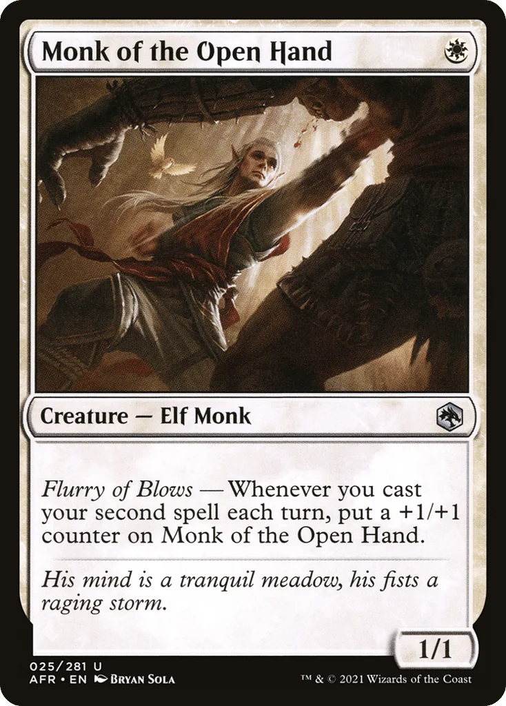 Monk of the Open Hand · Adventures in the Forgotten Realms