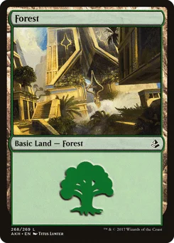 Forest