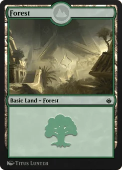 Forest
