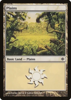 Plains