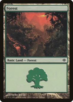 Forest