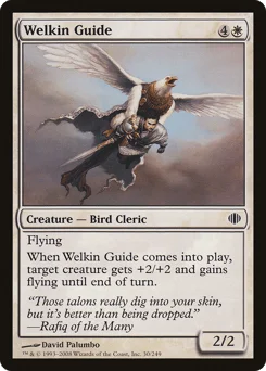 Welkin Guide