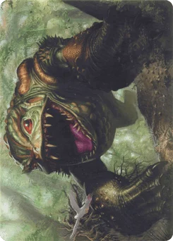 Excavating Anurid