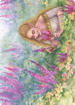 Abundant Harvest
