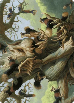 Scurry Oak