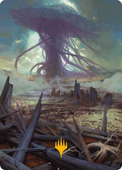 Swamp