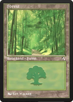 Forest