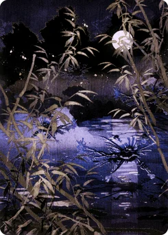Swamp