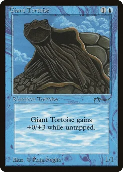 Giant Tortoise