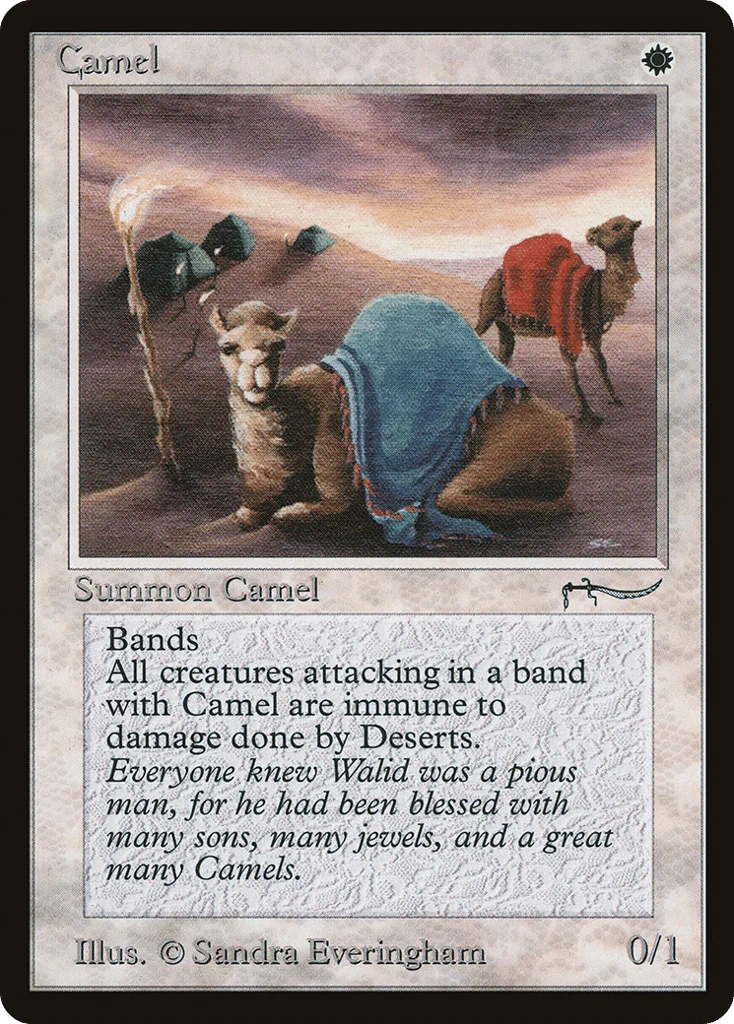 Camel · Arabian Nights