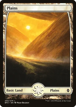 Plains