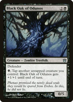 Black Oak of Odunos