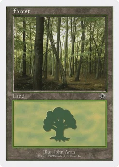 Forest