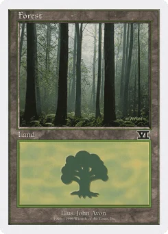 Forest