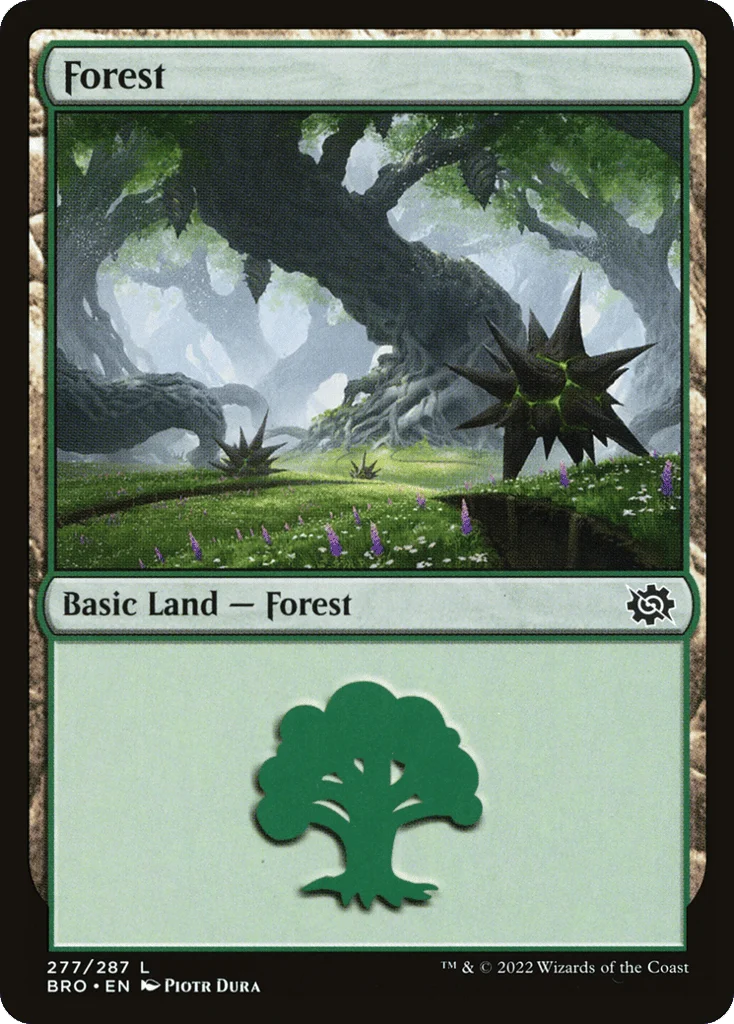 Forest · The Brothers' War