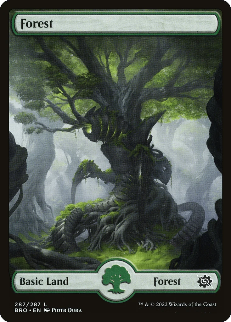 Forest · The Brothers' War