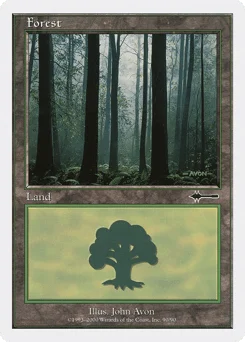 Forest