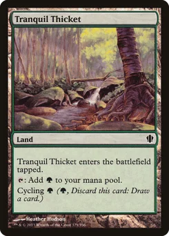 Tranquil Thicket