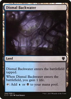 Dismal Backwater