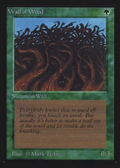 Wall of Wood