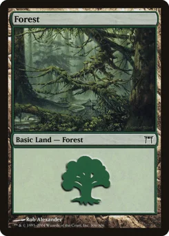 Forest