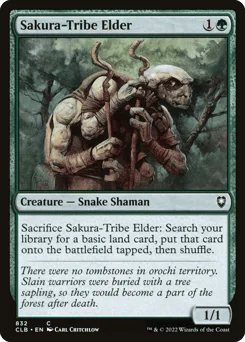 Sakura-Tribe Elder