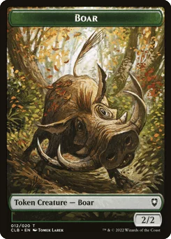 Boar