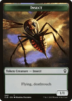 Insect