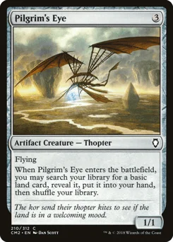 Pilgrim's Eye
