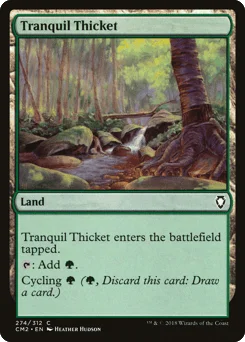 Tranquil Thicket