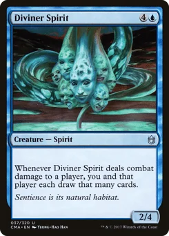 Diviner Spirit