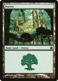 Forest