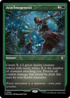 Arachnogenesis