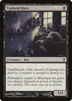 Typhoid Rats