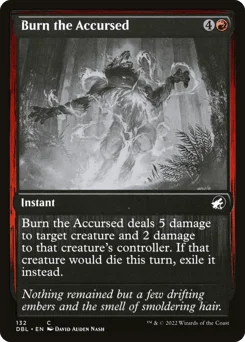 Burn the Accursed