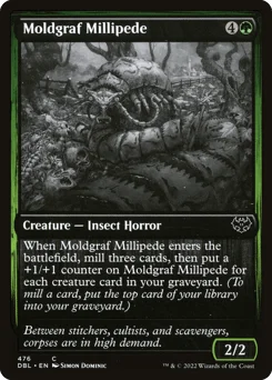 Moldgraf Millipede