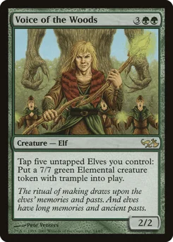 Voice of the Woods
