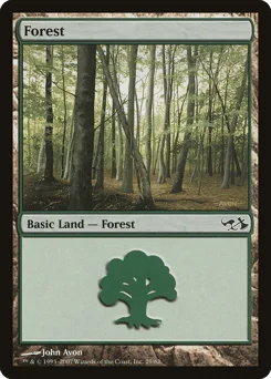 Forest